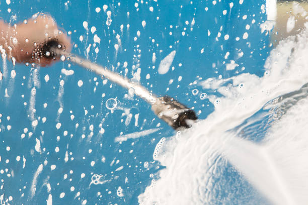 Animal Enclosure Cleaning in Watertown, NY
